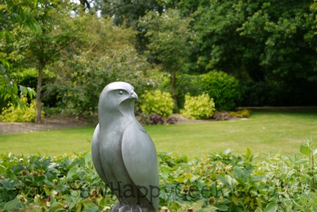 eagle pic 1